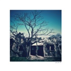 dailyPhoto19